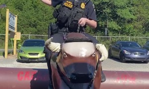 Ex-Police Officer Rides Mechanical Bull