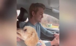 We Accidentally Brought the Wrong Dog Home From the Groomer