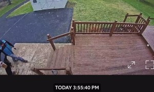 German Shepherd Won't Let Delivery Driver Take Picture