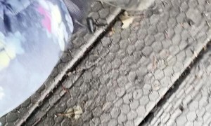 Child Falls Through Missing Plank on Bridge