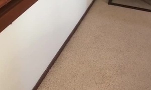 Family Arrives to Snowed In Cabin