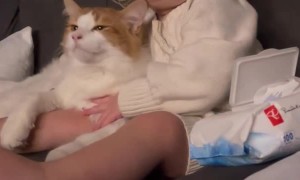 Livie and Georgie are Best Friends