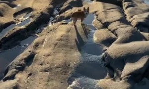 California Storm Reveals New Terrain