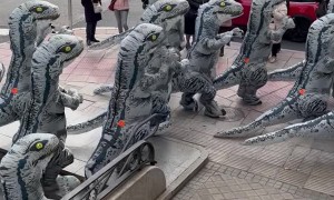 Jurassic Park Is Leaking