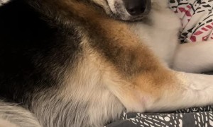 Holly Is The Wife Now