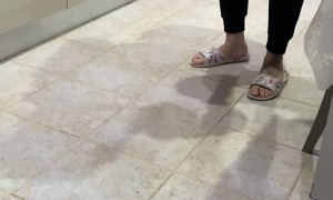 Dog Has a Funny Walk With Homemade Footwrap