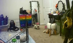 Charlie And Katy Make a Big Mess