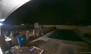 Mastering Fatherhood