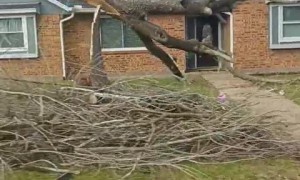 Texas tornado leaves path of destruction through Pasadena's neighborhood 