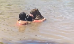 Swimming With A Surprise Friend