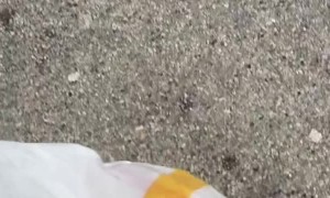 A Fun Surprise With Fast-Food Order