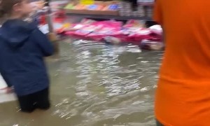 Flash Flooding In Auckland