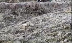 Skiing in the Summer