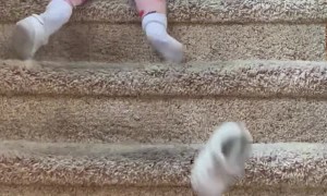 Baby's Creative Stair Method