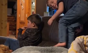 Good Ole Sibling Rivalry