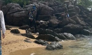 Monkey Steals Tourist's Phone in Thailand