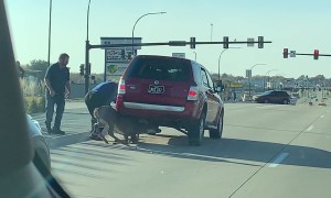 Good Samaritans Help Free Deer Stuck Under SUV