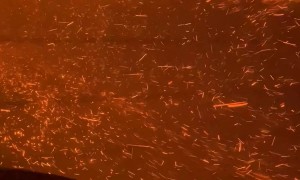 Escaping a Wildfire in Chile