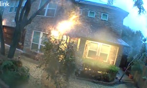 Austin Ice Storm Causes Large Branch to Suddenly Fall