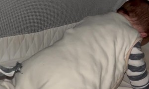 Help I Think My Child’s Broken?