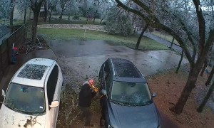 Ice Storm in Austin Causes Tree Branches to Fall (Close Call)