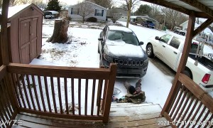 Woman Slips and Falls Hard on Front Stairs
