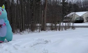 A Unicorn Helps With The Chores