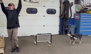 Pepper Scores a Hockey Goal