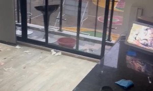 Puppy Plays With Sand Left on Balcony Making the Apartment a Mess