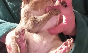 Clover The Squeaky Squirrel