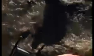 I'm Taking You With Me