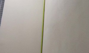 Definitely Nailed It