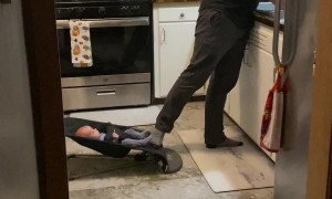 Dad Finds A Creative Way To Rock