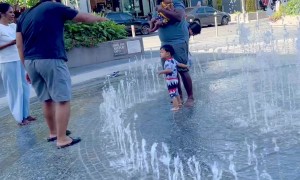 Wrong Dad, Same Spirit