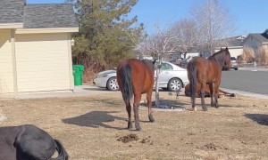 Neigh-borhood Watch