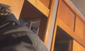 Dad Gags Over Diaper