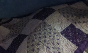 Cats Burrows Under Covers