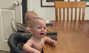 Baby Fake Cries for More Strawberries