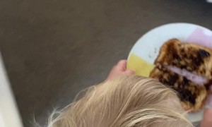 It's the Thought That Counts