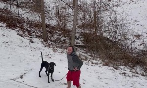 Man Struggles to Escape Slippery Yard