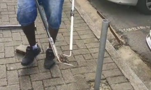 Snake Rescue and Relocation