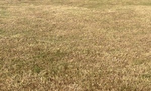 Guy Hitting Poorly Built Jump on Dirt Bike Wrecks