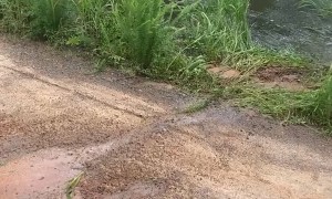 Boat Jumps the Road