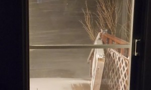 Weather Can't Make Up Its Mind