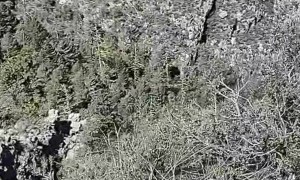 Riding Up The Guadalupe Mountains