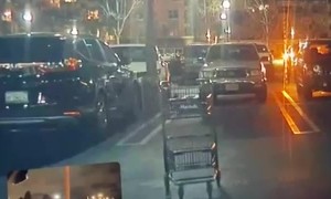 Shopping Cart Targets Tesla