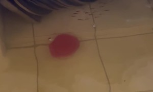 Wild Floodwaters In Brazil