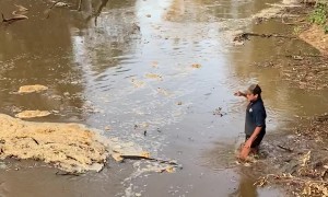 Saving a Trapped Echidna