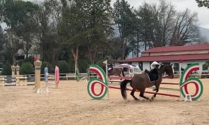 Horseback Rider Falls Off After Failed Attempt to Jump Fence