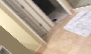Mischievous Cat Flickers Light Switch